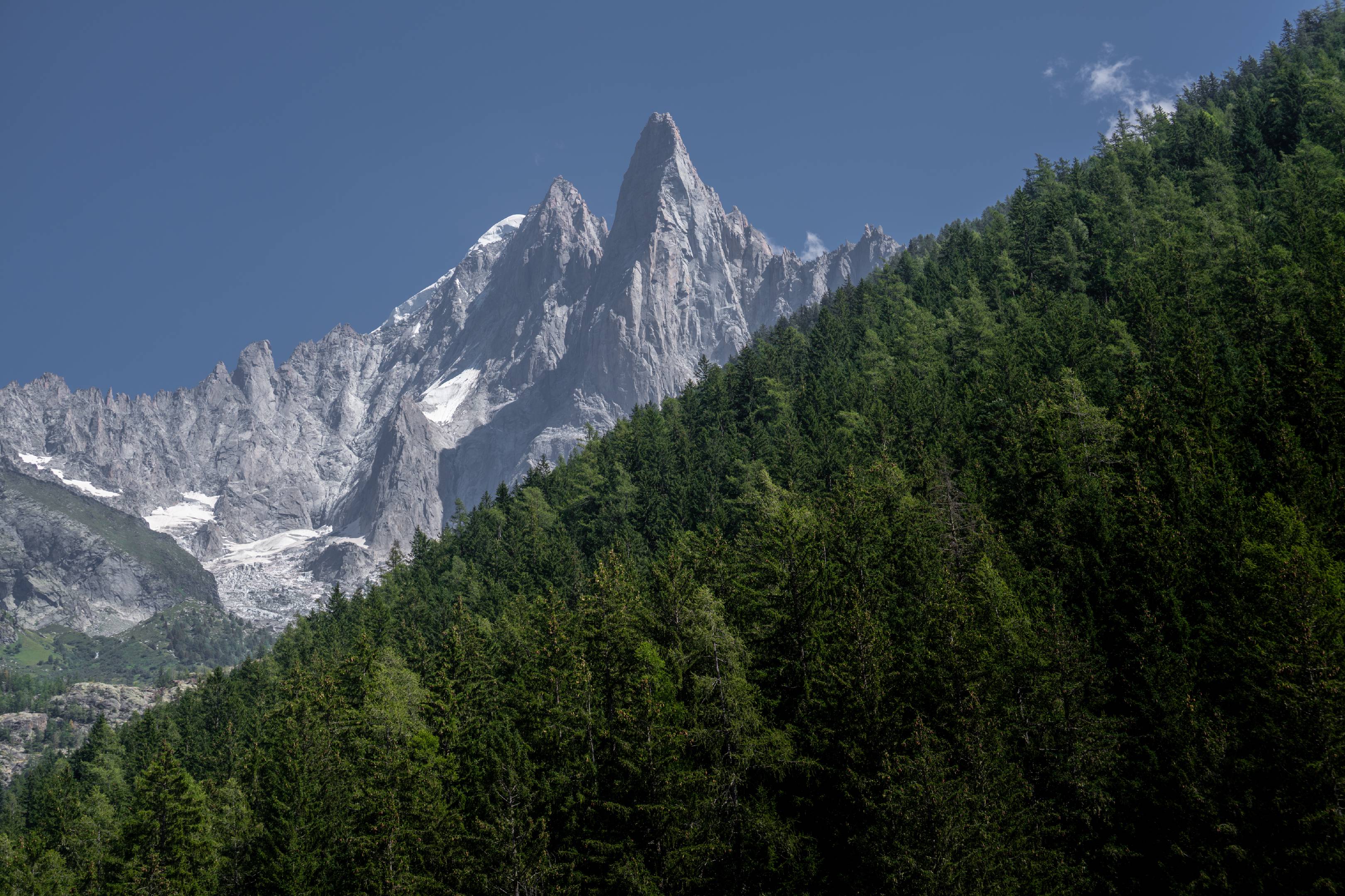 Aiguille Verte