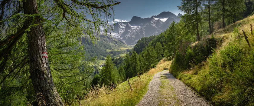 Way to Seeber Alm