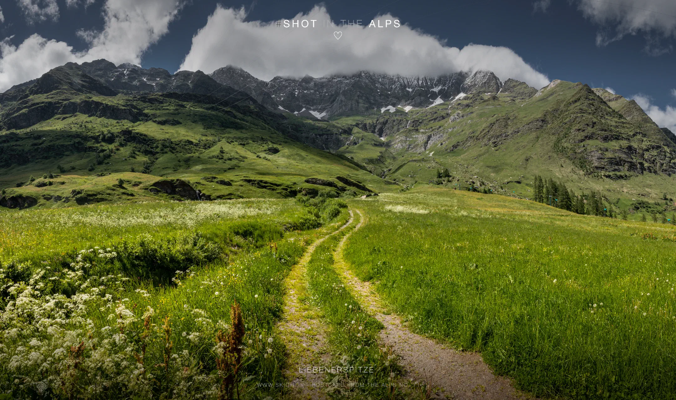 Liebenerspitze