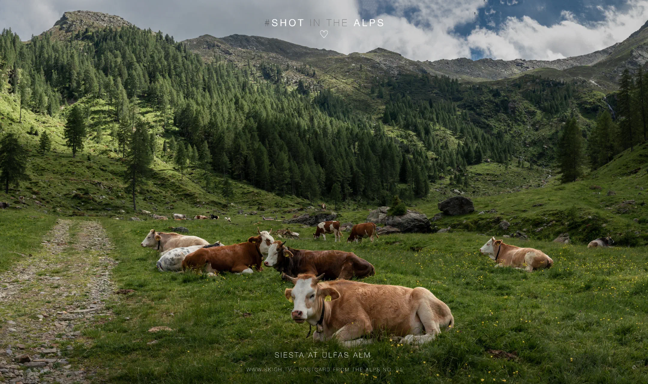 Siesta at Ulfas Alm