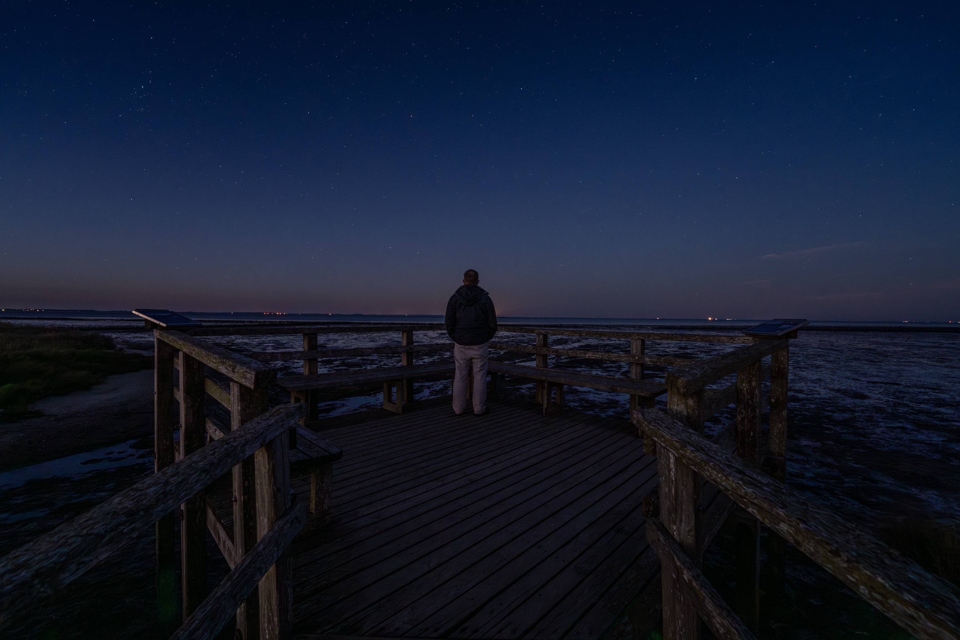 Wadden Sea Selfie