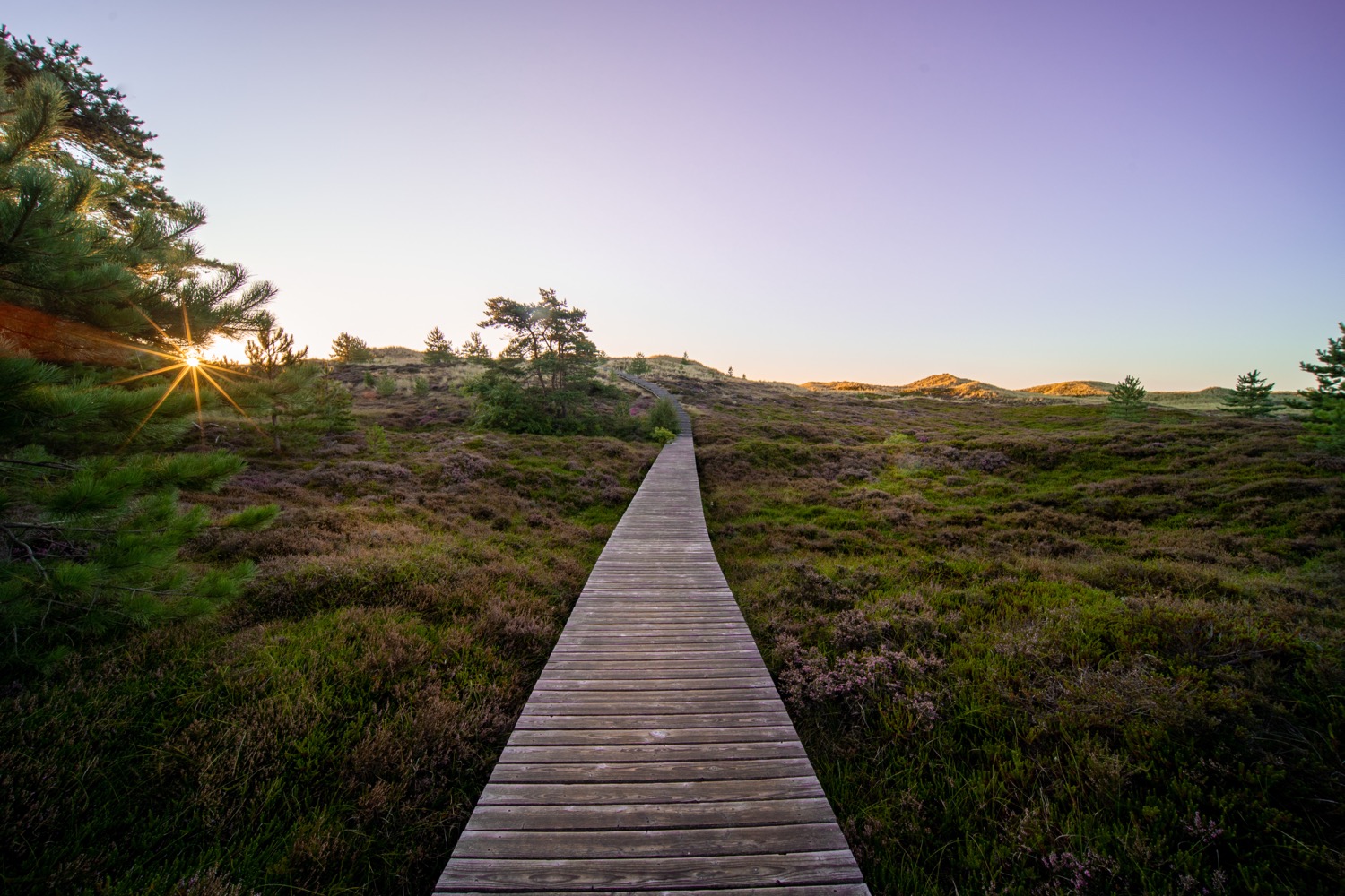 Viewing dune at sunrise