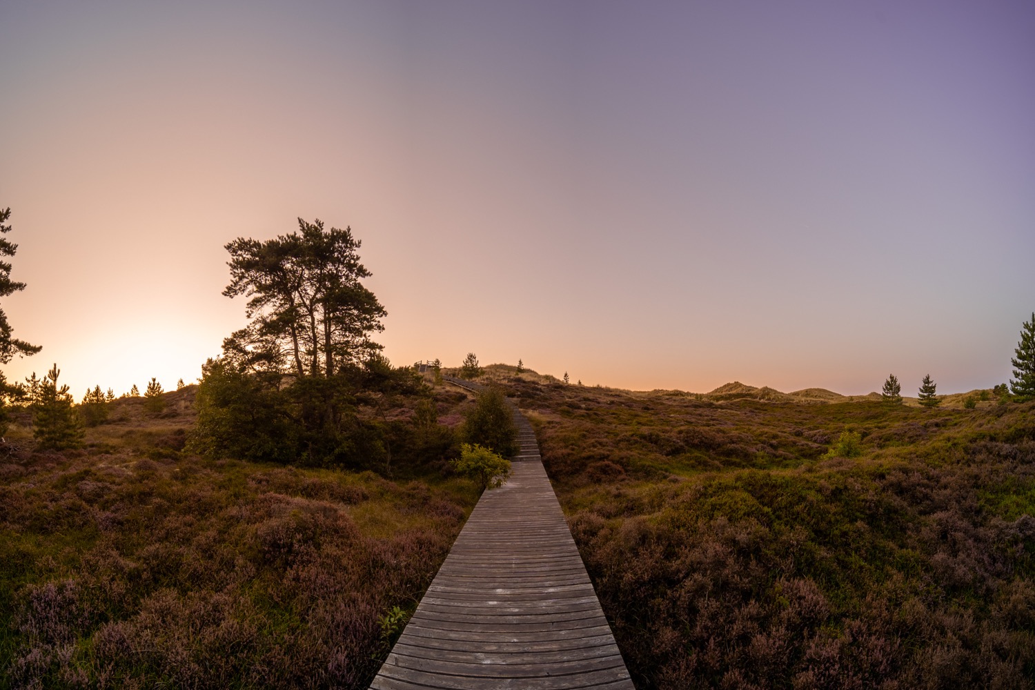 Viewing dune at sunrise | 1/20s * -- * ISO 400 * -- - Laowa 10-18mm F4.5-5.6 FE - Sony α7 III Viewing dune at sunrise