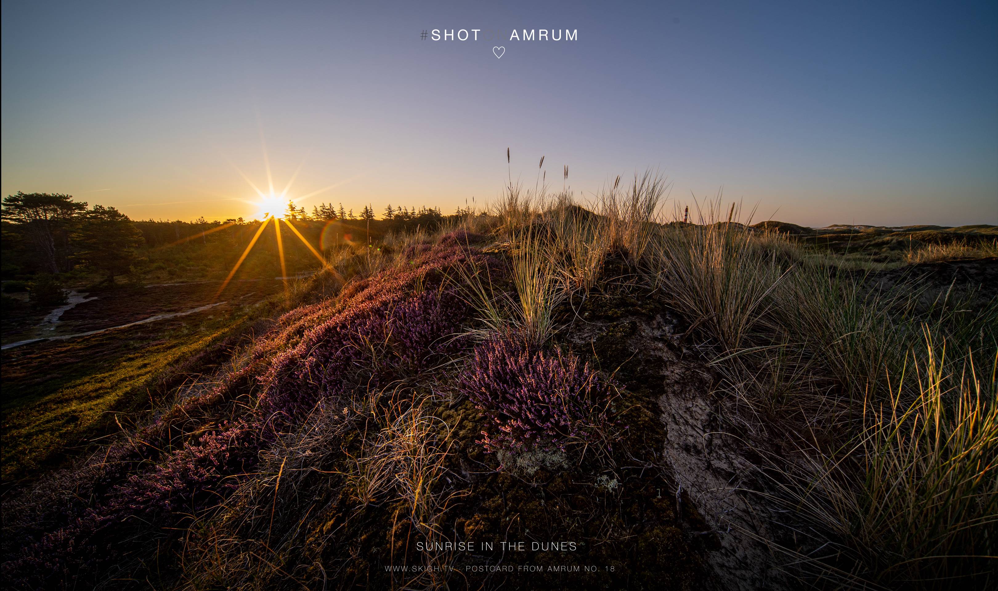 Sunrise in the dunes