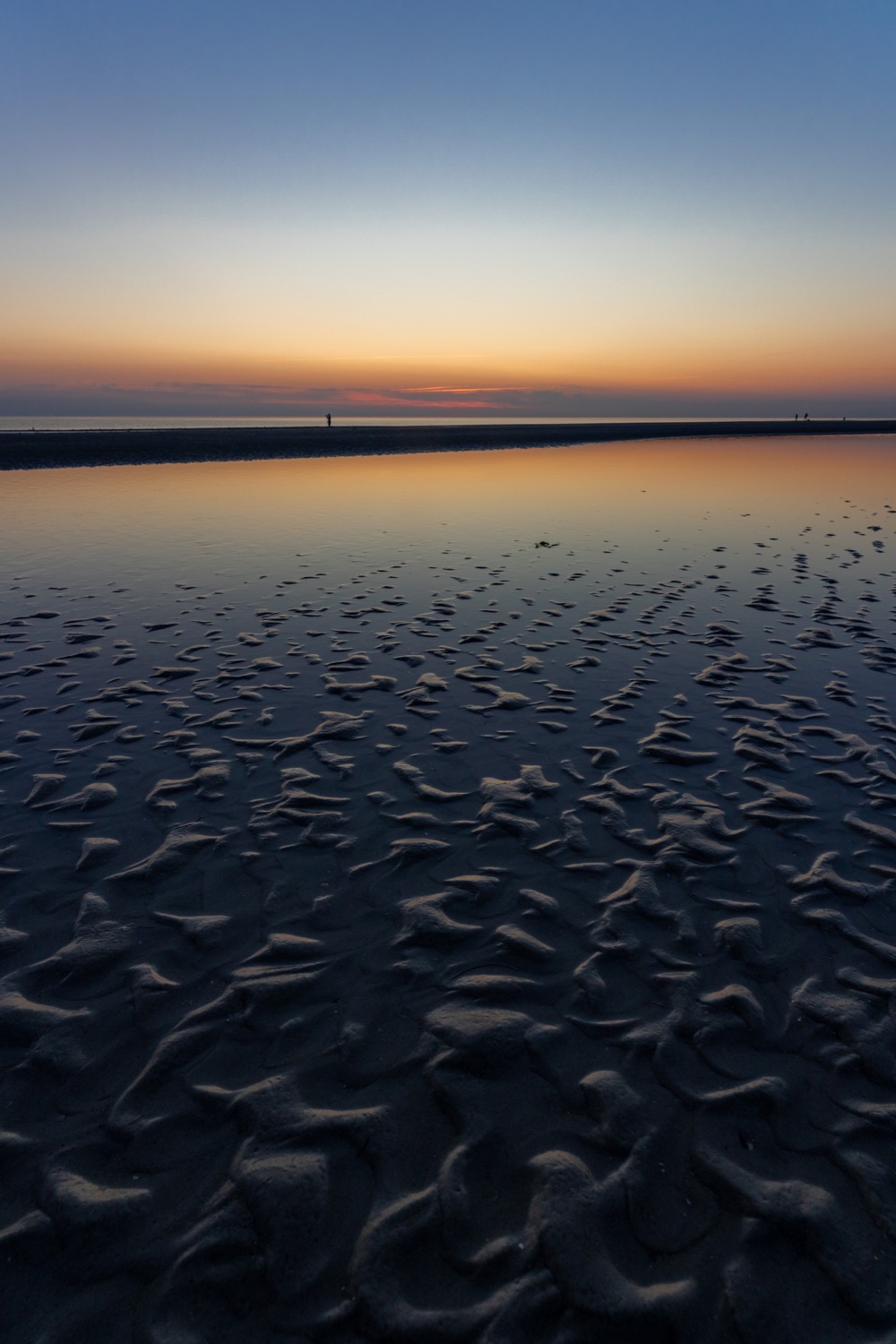 Seabed at low tide after sunset | 1/60s * f8 * ISO 640 * 15mm - 14-24mm F2.8 DG DN | Art 019 - Sony α7R III Seabed at low tide after sunset