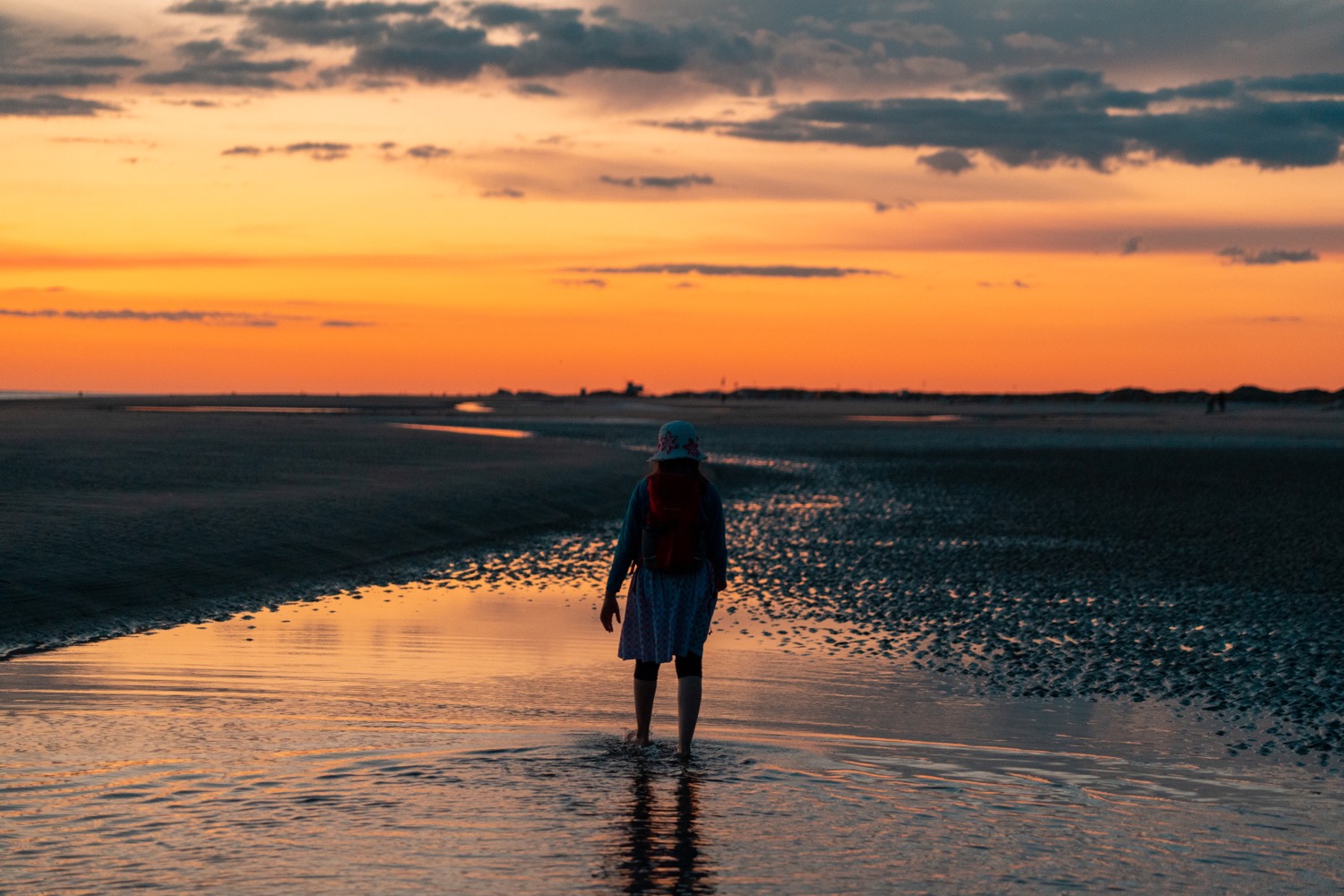 Low tide evening walk