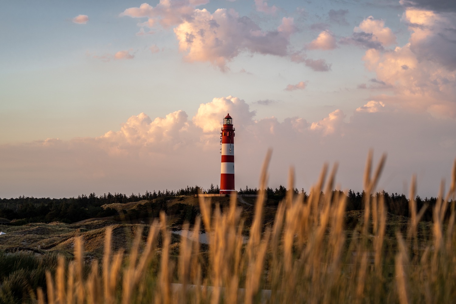 Amrum Lighthouse in Evening Sun