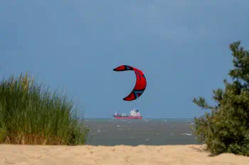 "Kite"
