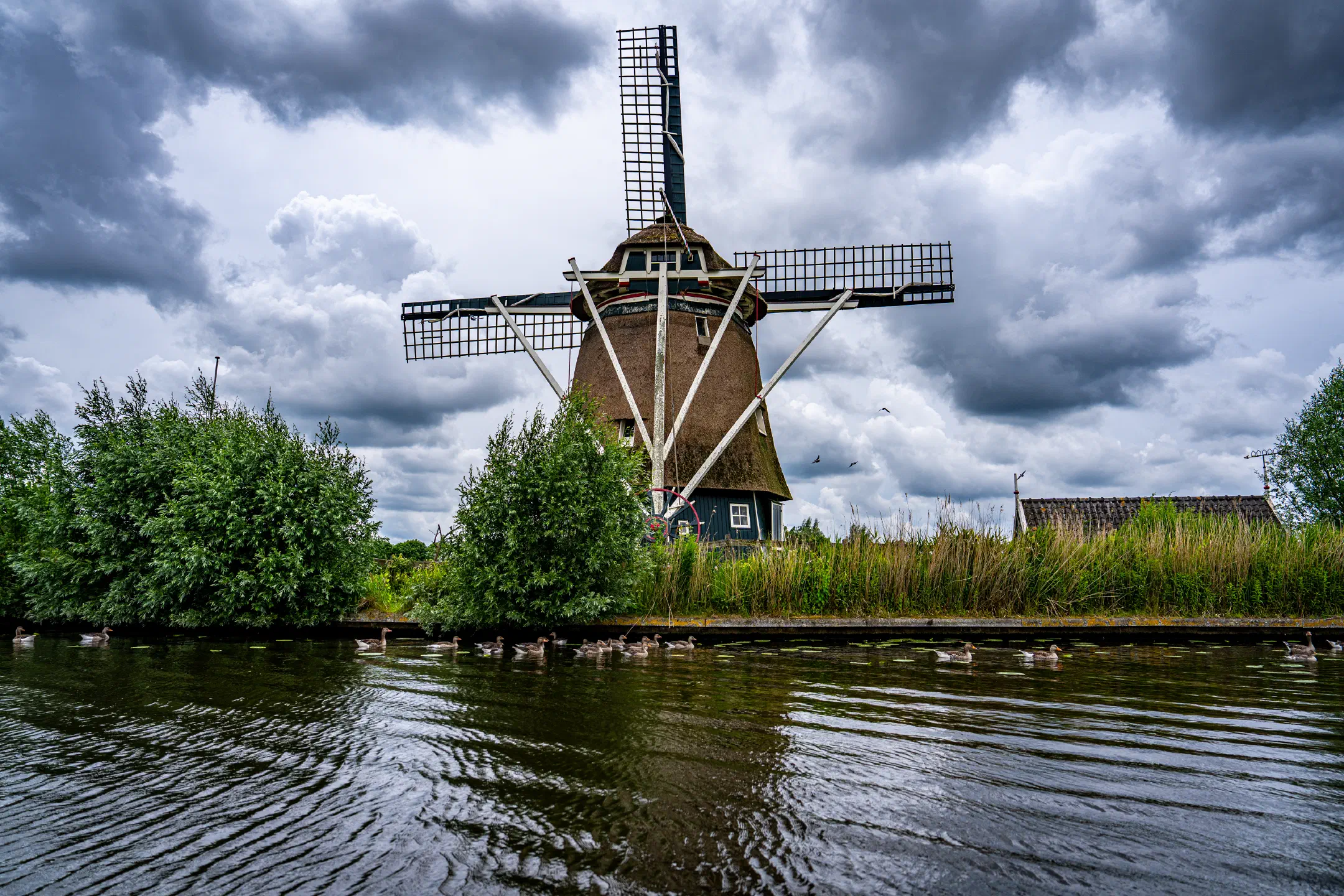 Vijfhuizer Molen, Haarlem