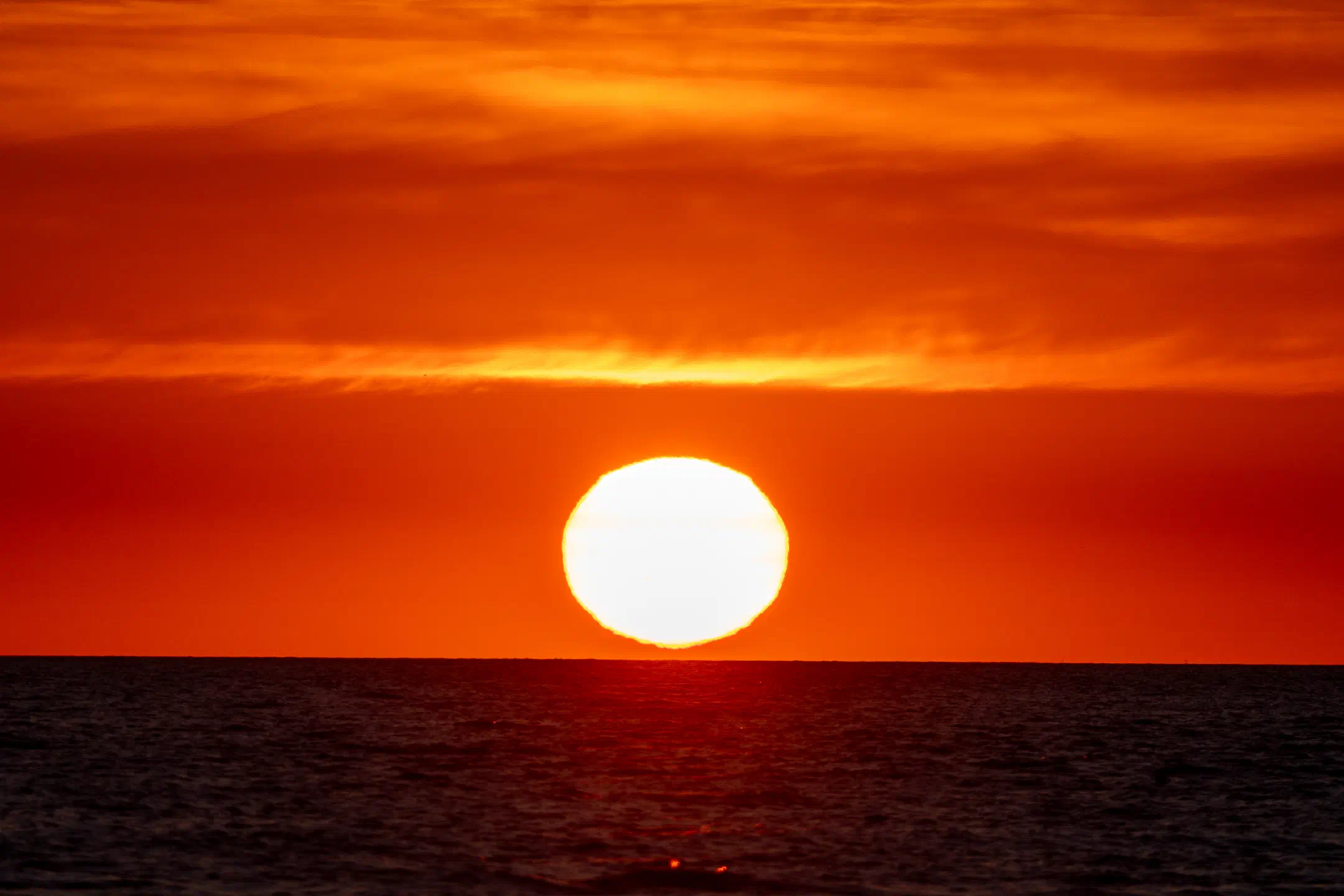 Orange Sphere