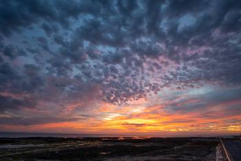 The Shepherd’s Palette