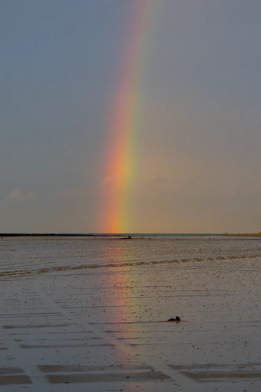 Rainbow Reflections