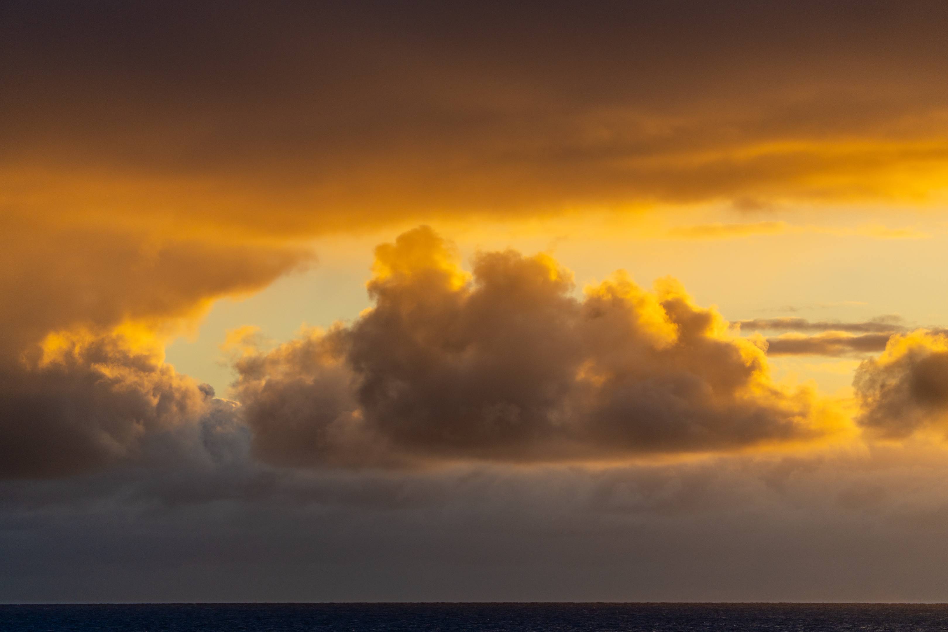 Borrowed From a Dream