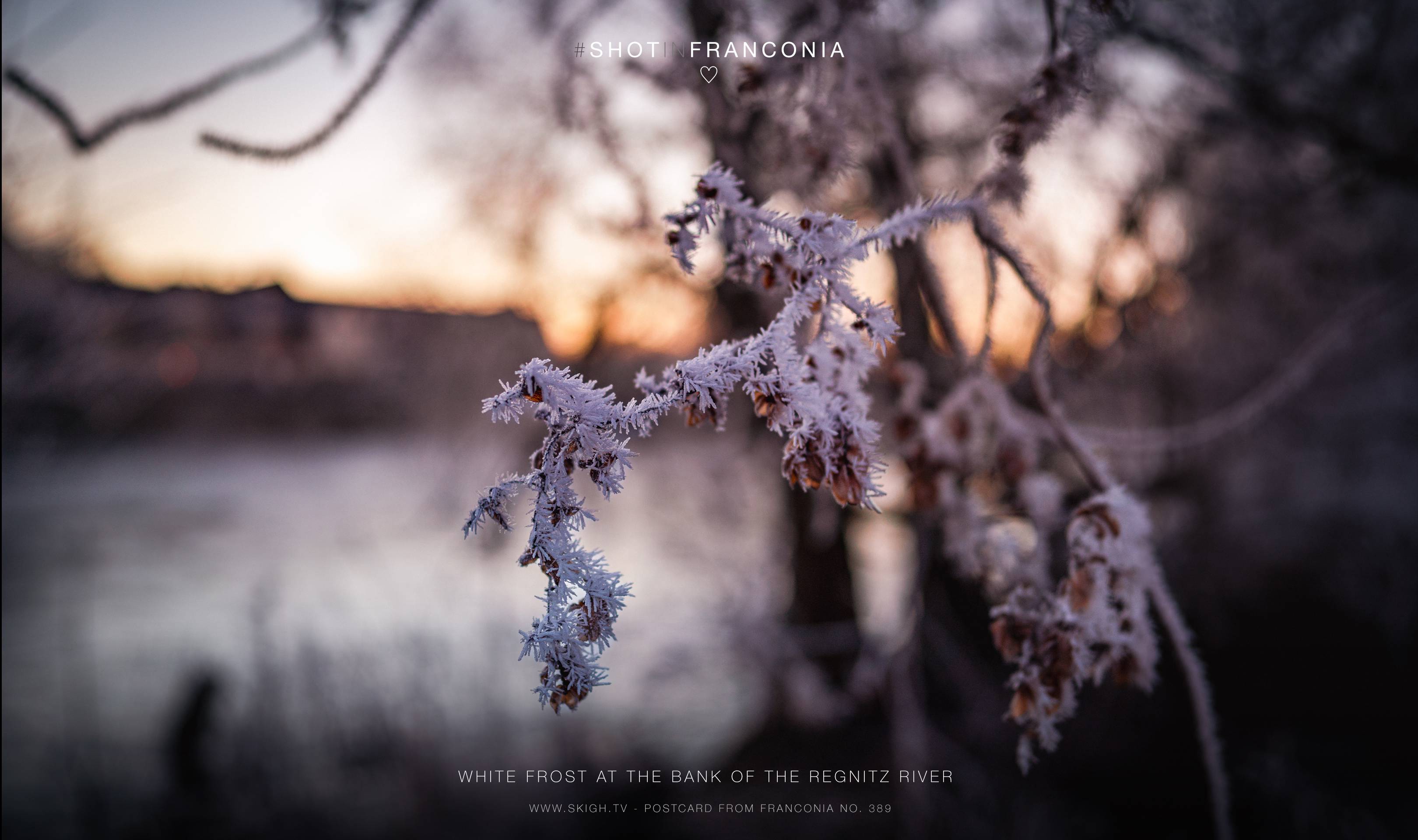 White frost at the bank of the Regnitz river | 1/500s * f1.4 * ISO 100 * 24mm - FE 24mm F1.4 GM - Sony α7R III White frost at the bank of the Regnitz river