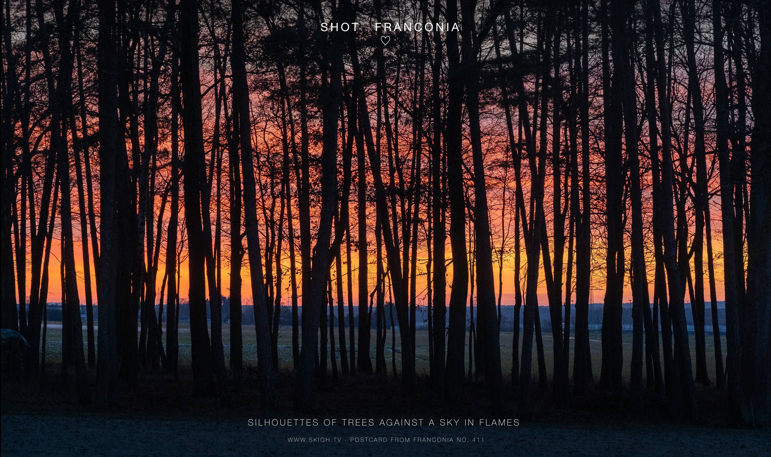 Silhouettes of trees against a sky in flames