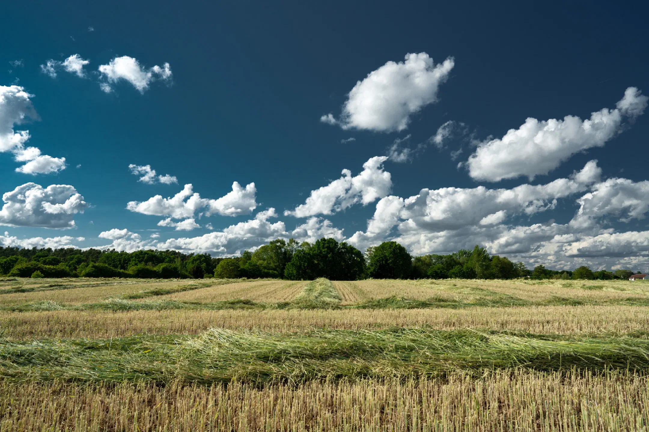 Partly cloudy