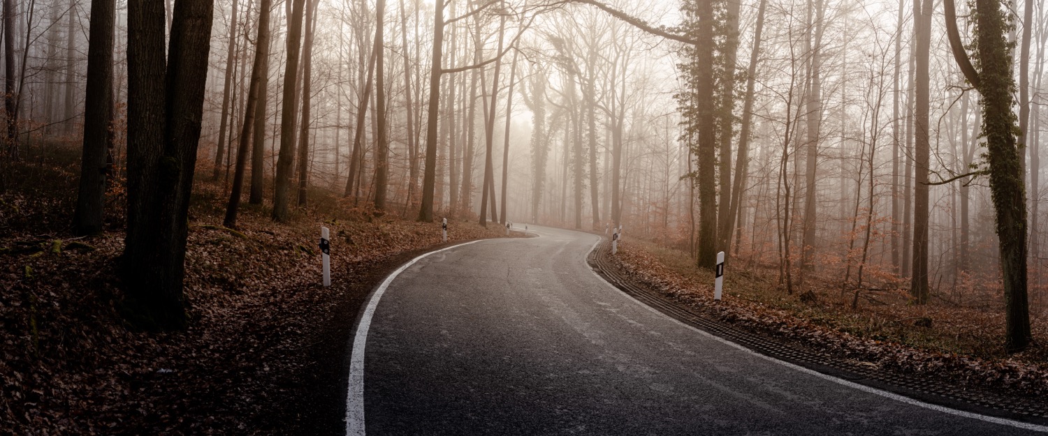 Curvy road to Erlangen | 1/125s * f8 * ISO 320 * 24mm - FE 24-105mm F4 G OSS - Sony α7R III Curvy road to Erlangen