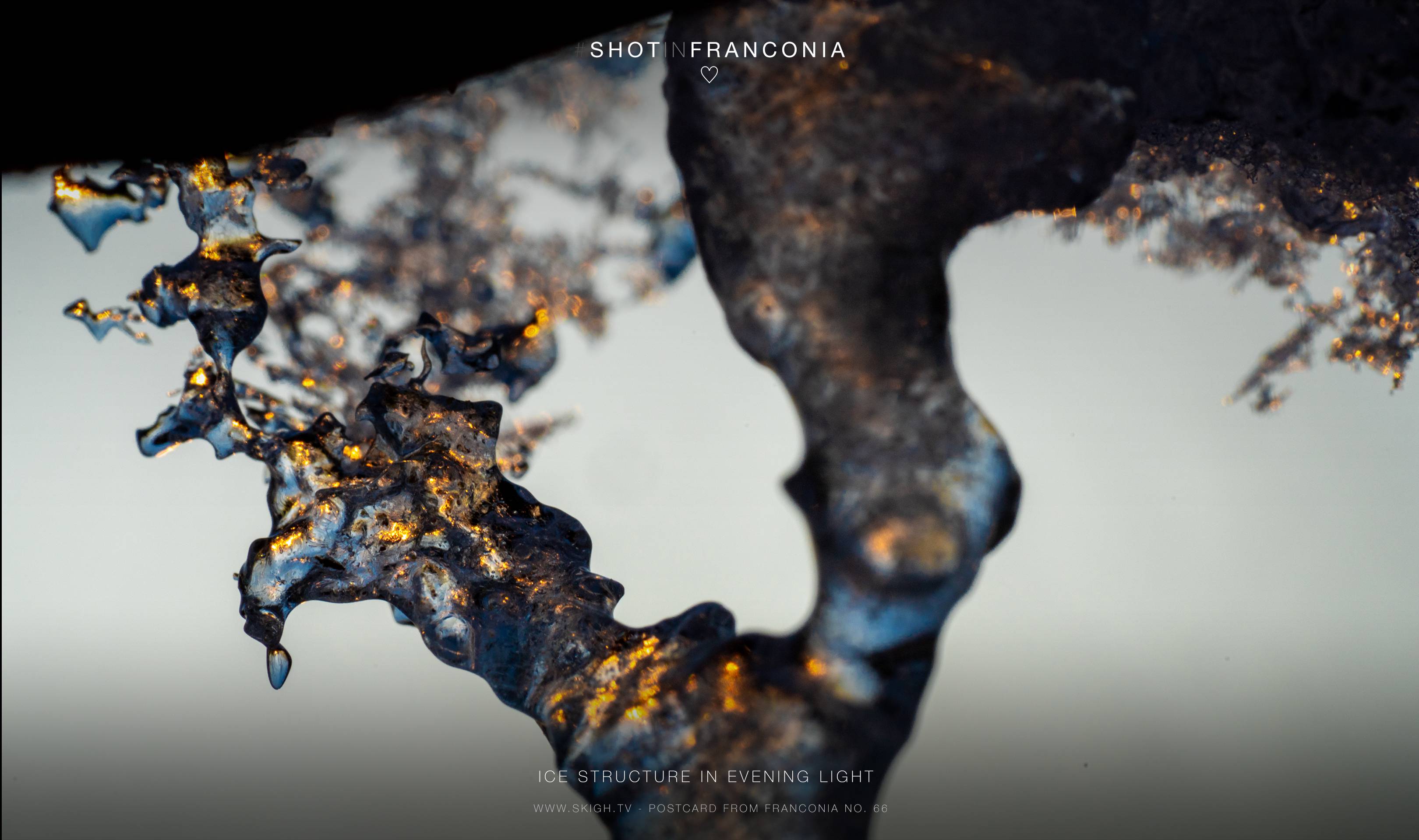 Ice structure in evening light | 1/100s * f14 * ISO 400 * 90mm - FE 90mm F2.8 Macro G OSS - Sony α7R III Ice structure in evening light