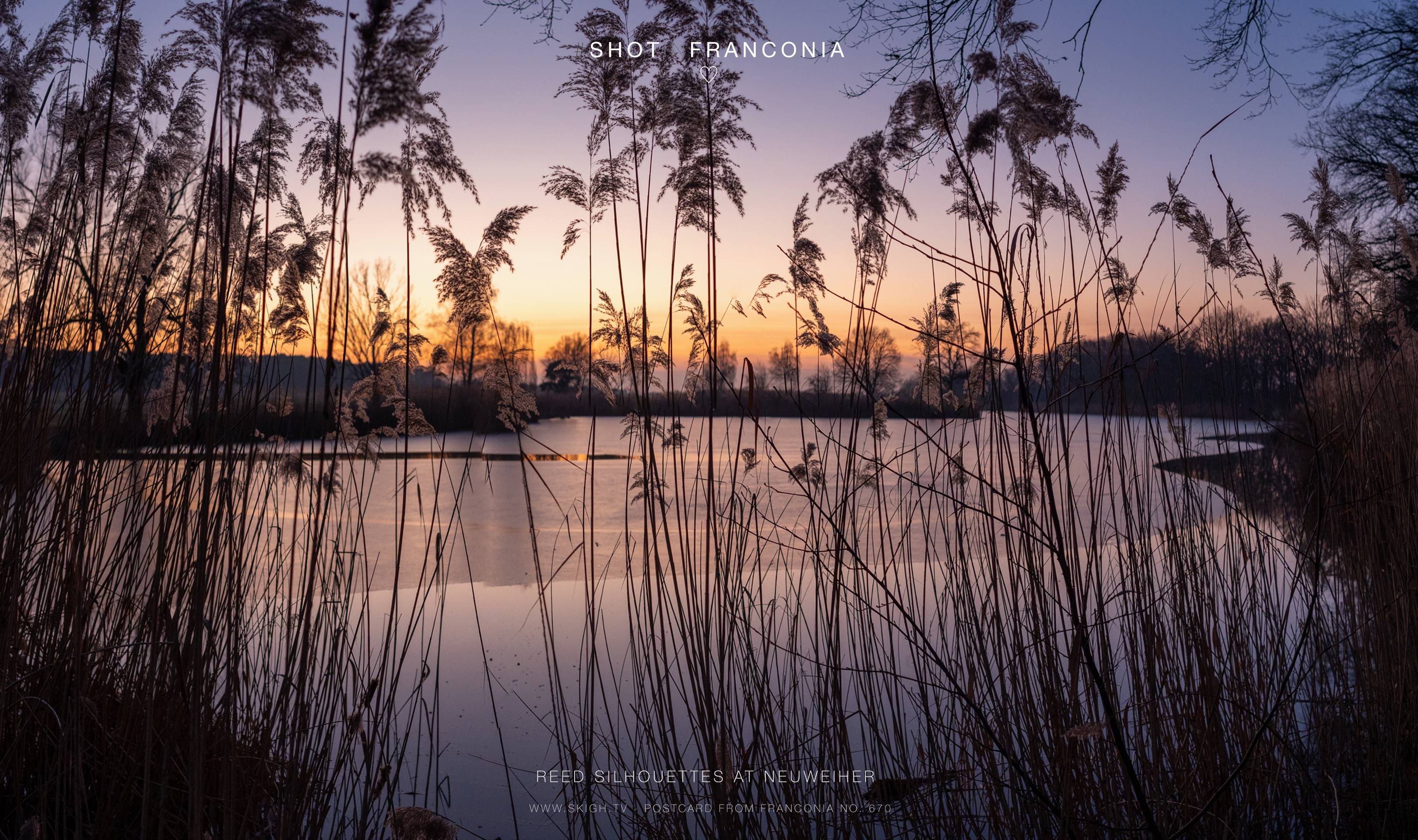 Reed silhouettes at Neuweiher | 1/125s * f3.5 * ISO 1600 * 24mm - FE 24mm F1.4 GM - Sony α7 IV Reed silhouettes at Neuweiher