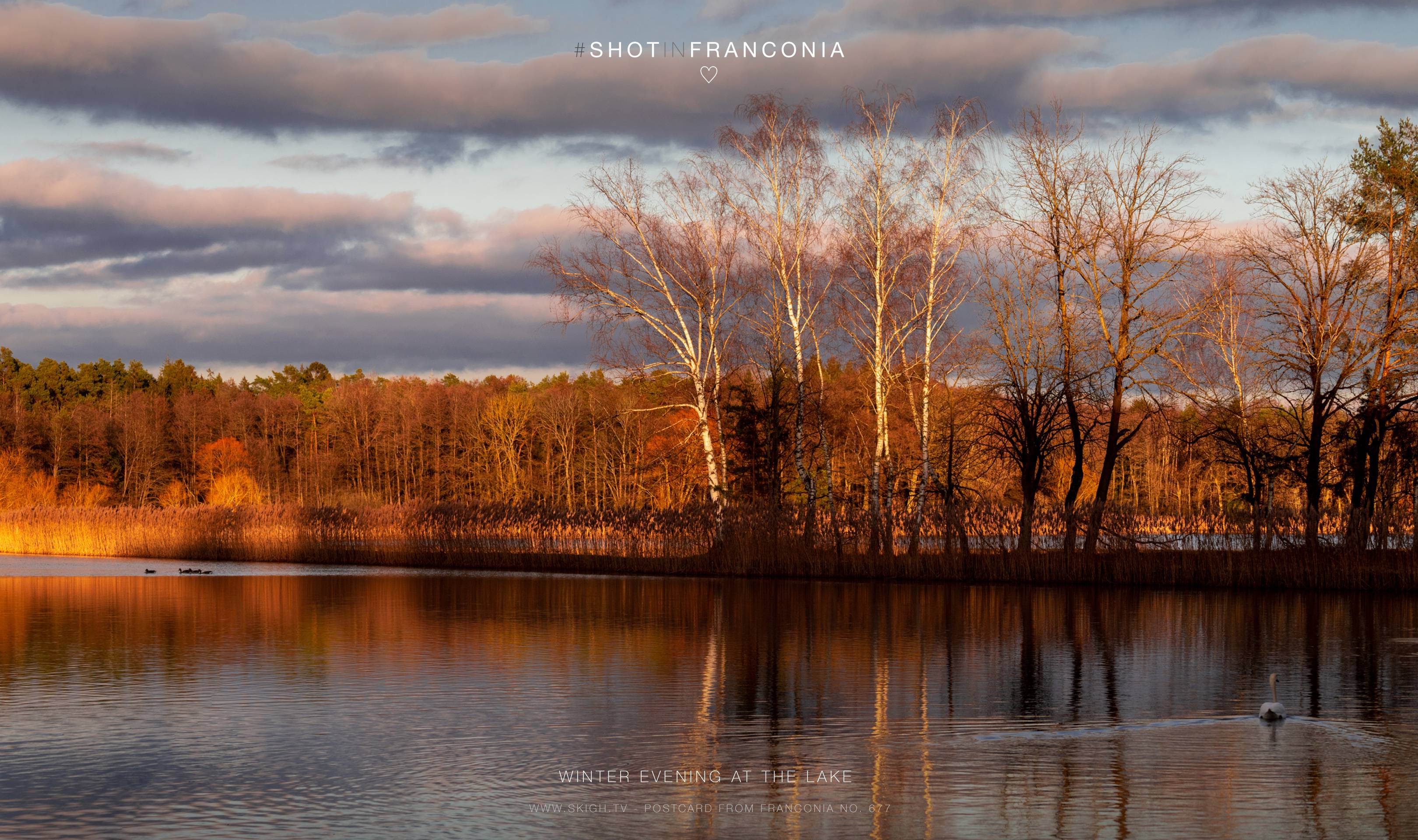 Winter evening at the lake