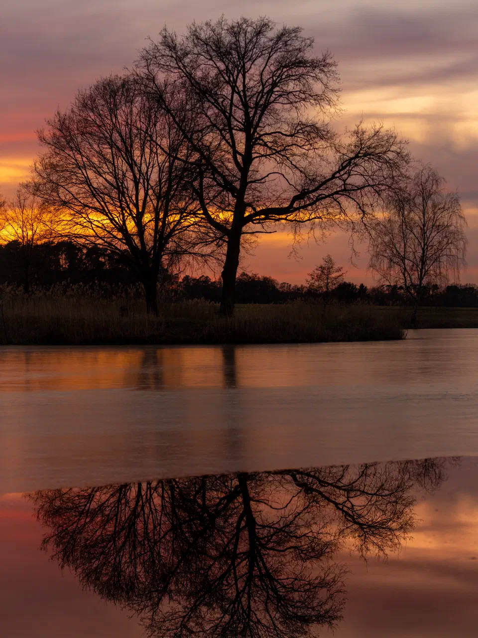 Neu Weiher