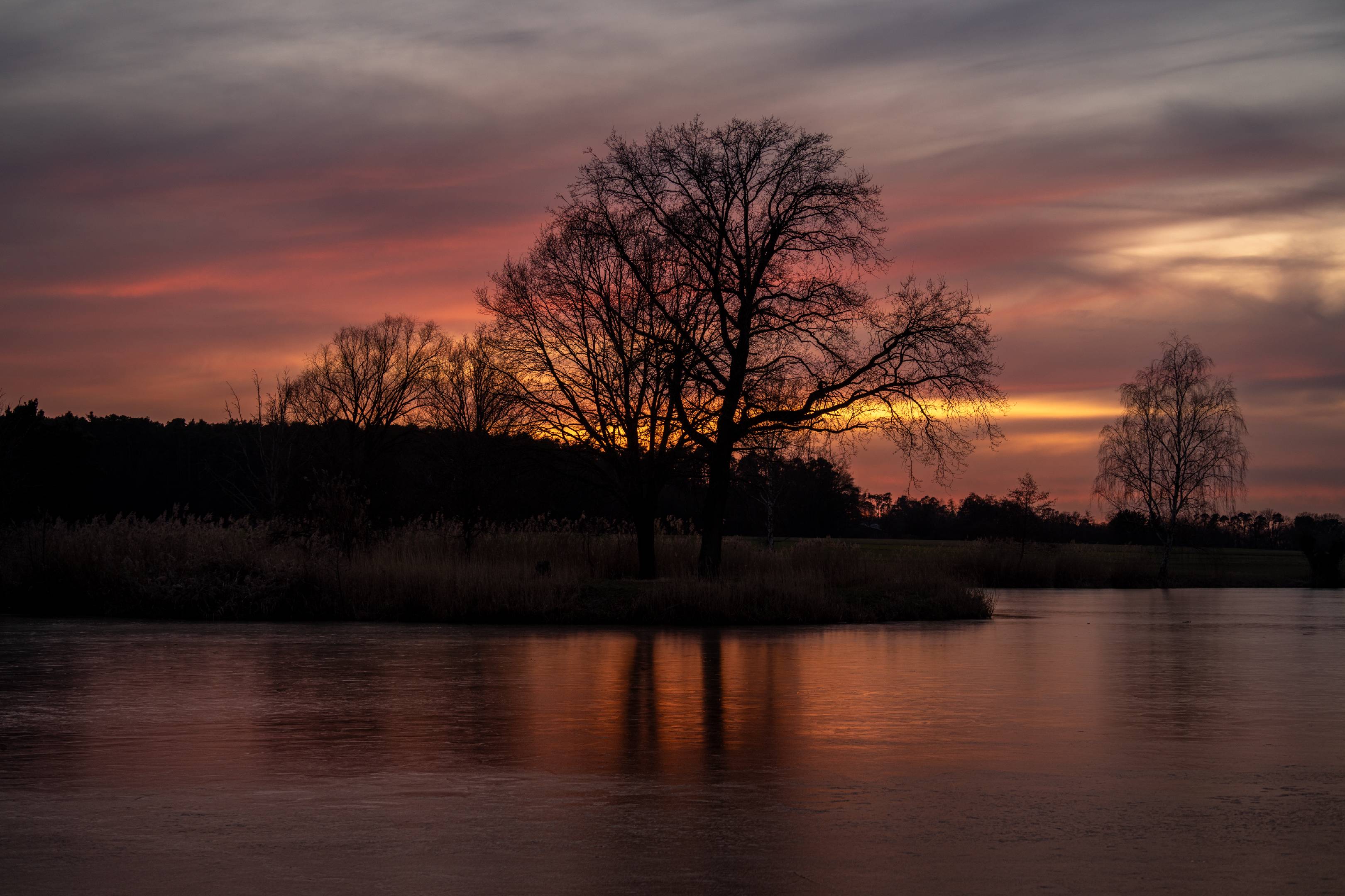 Frozen Neu Weiher