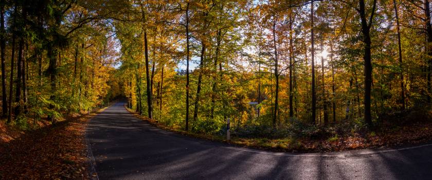 Coming from Rathsberg