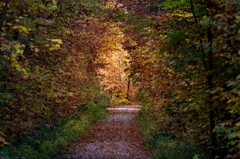 Tunnel