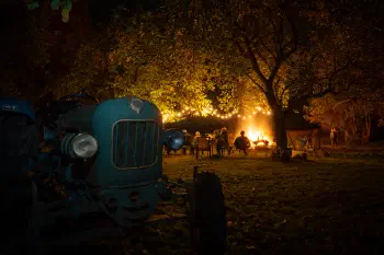 Bonfire