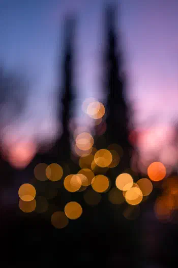 Christmas Lights