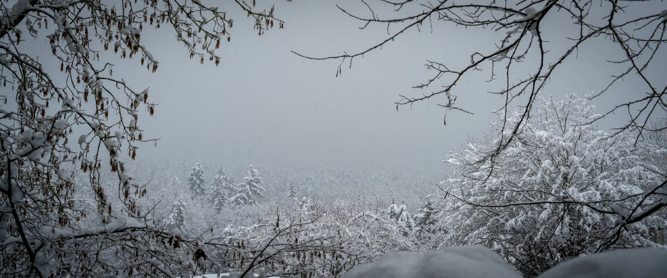 Snowy Burgberg