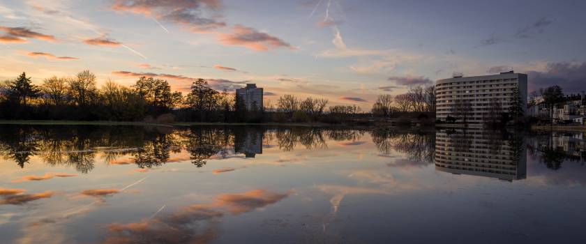 Langer Johann and Banana reflections